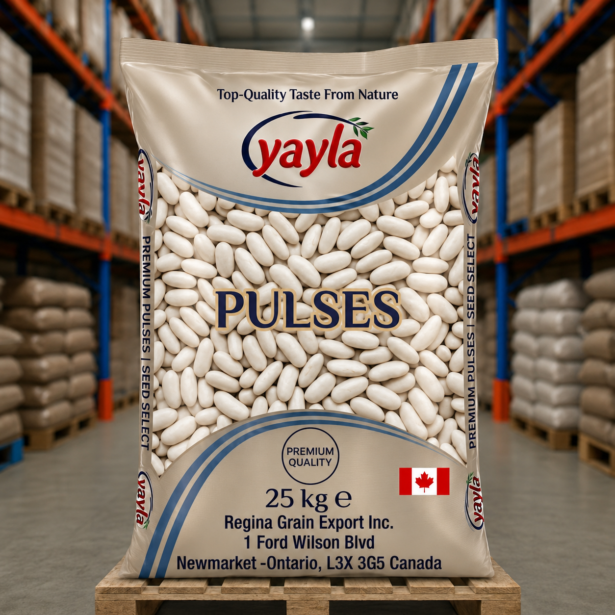 Bag of Pulses